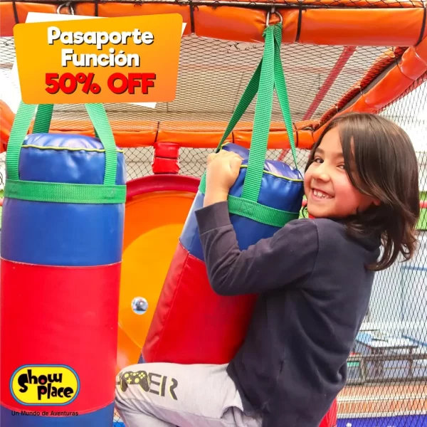 Pasaporte Función
